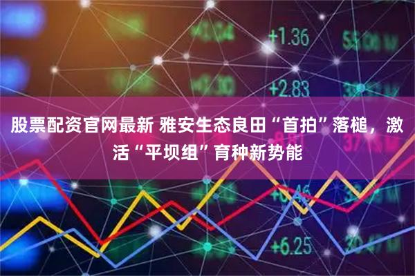 股票配资官网最新 雅安生态良田“首拍”落槌，激活“平坝组”育种新势能