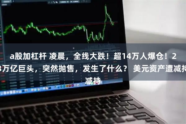 a股加杠杆 凌晨，全线大跌！超14万人爆仓！23万亿巨头，突然抛售，发生了什么？ 美元资产遭减持