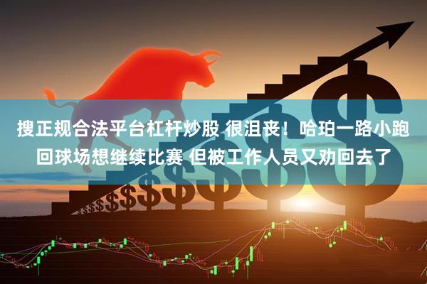 搜正规合法平台杠杆炒股 很沮丧！哈珀一路小跑回球场想继续比赛 但被工作人员又劝回去了
